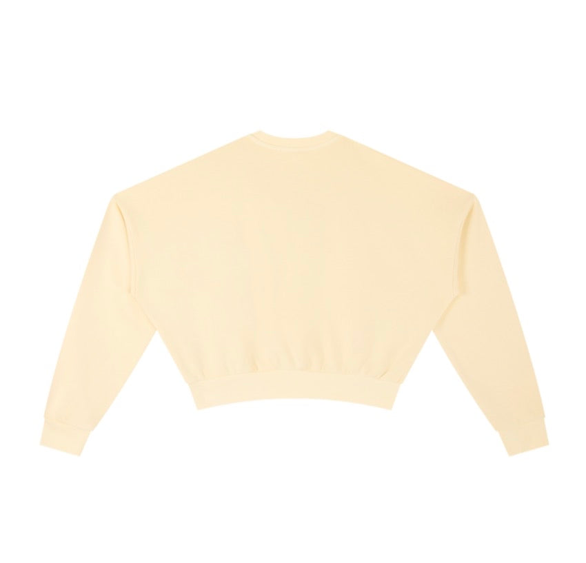 Vintage Washed Cropped Sweatshirt
